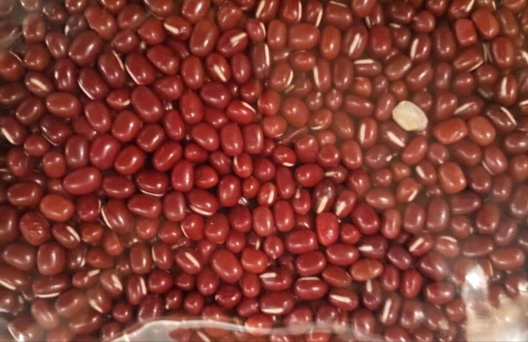 まこと出品　小豆　長野県産小豆 10kg　磨き薬品不使用　少し訳あり