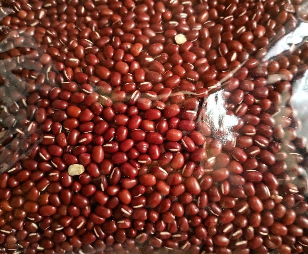 まこと出品　小豆　長野県産小豆 10kg　磨き薬品不使用　少し訳あり