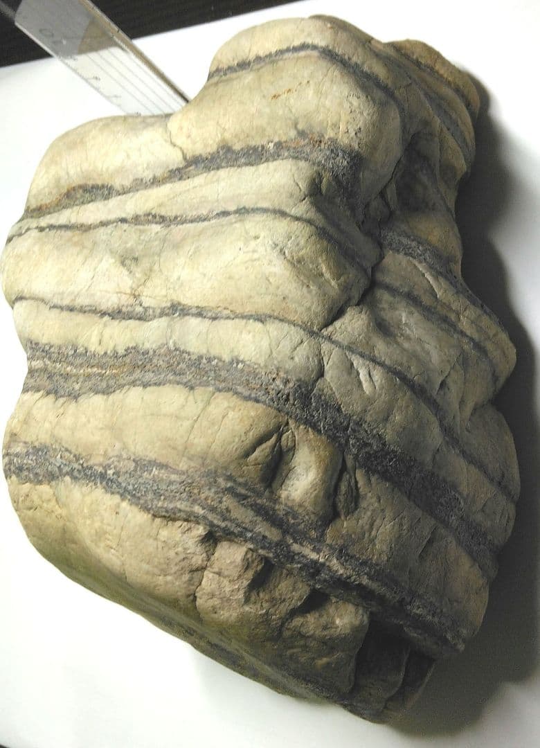 存在感抜群！天然 虎石風 飾り石 4.6kg｜縞模様 美石・鑑賞石・置物