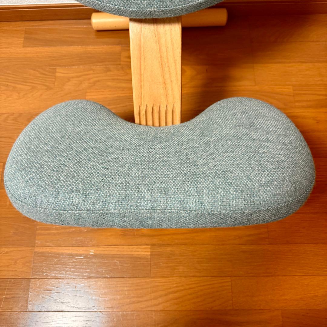 【minipham】 バランスイージー Rybo リボ社 カバー付き