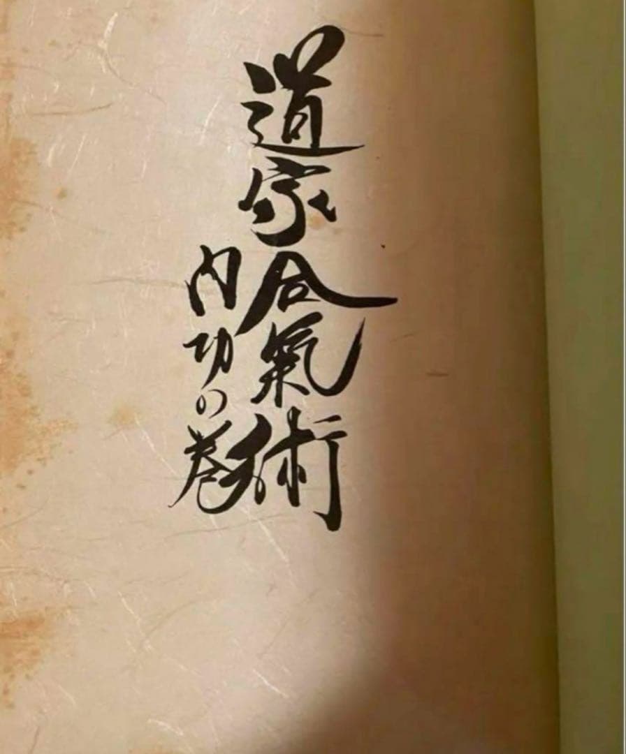 「道家合気術　内功の巻」合気道　大東流　気功