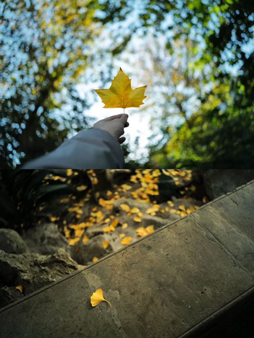 新品Leica M 七枚玉復刻 mandler 35mm F2 m6 m7 mp