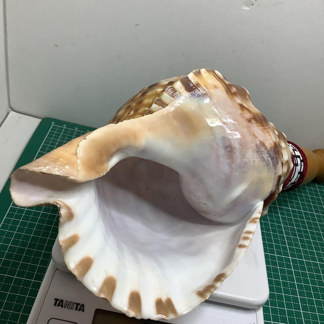 ヤフメリ25・法螺貝・山伏・修験者・戦国武将・日本百名山・布袋寅泰・日本一心