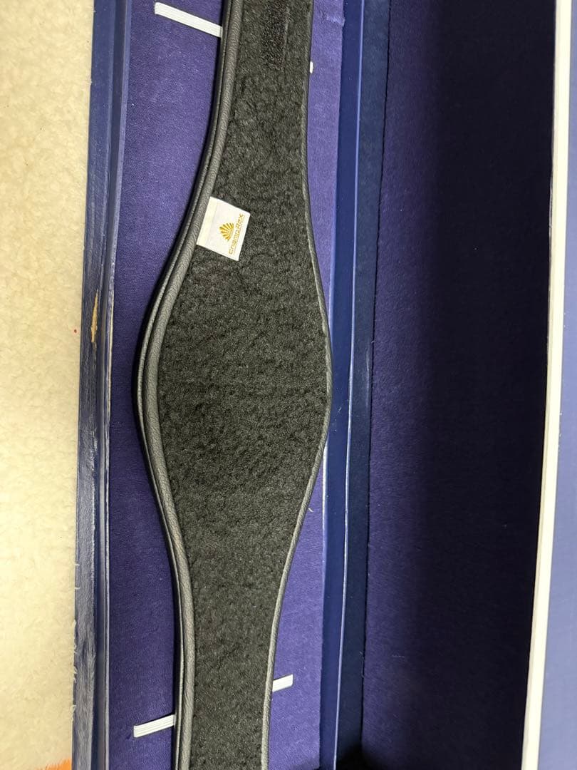 ラスト1点 新品RIZIN レプリカ ミニベルト ライジン チャンピオンベルト