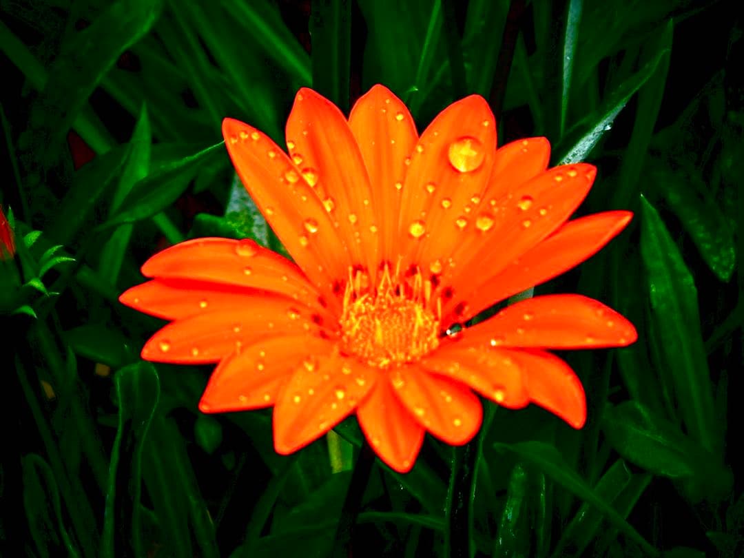 LUMIX 望遠レンズ 35-100mm H-FS35100 パナソニック未使用