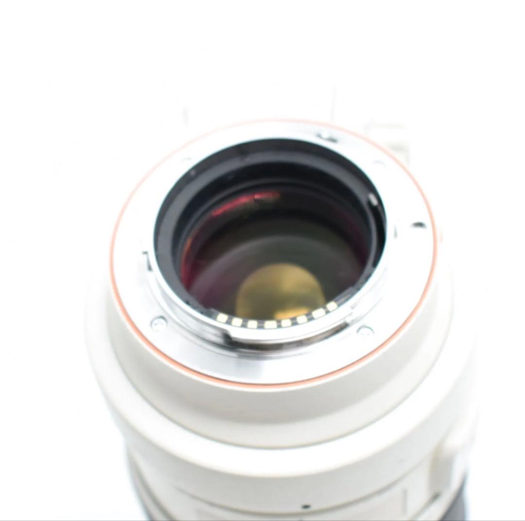 Sony Aマウント 70-200mm f2.8 Gレンズ SAL70200G