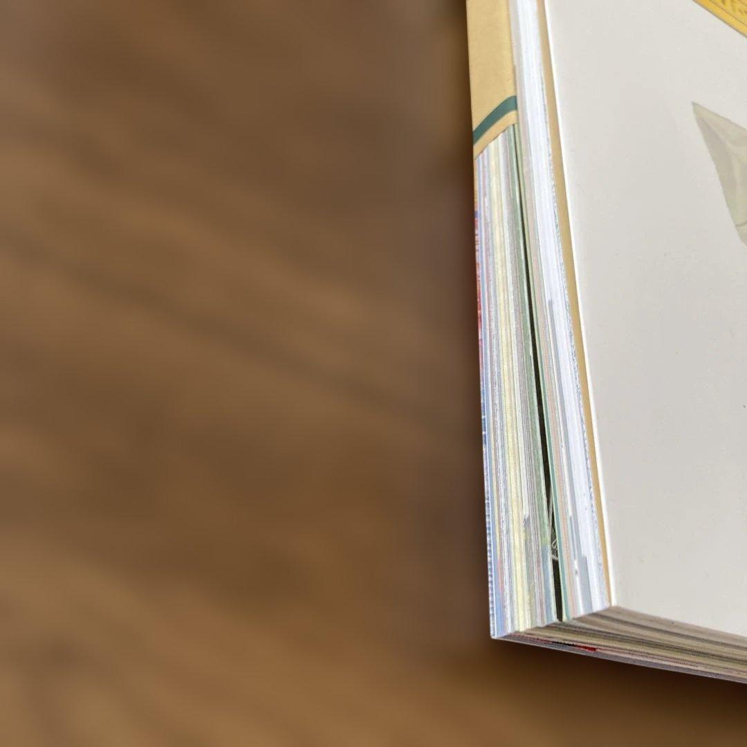 ワンピースマガジン 2冊セット ルフィ 少女