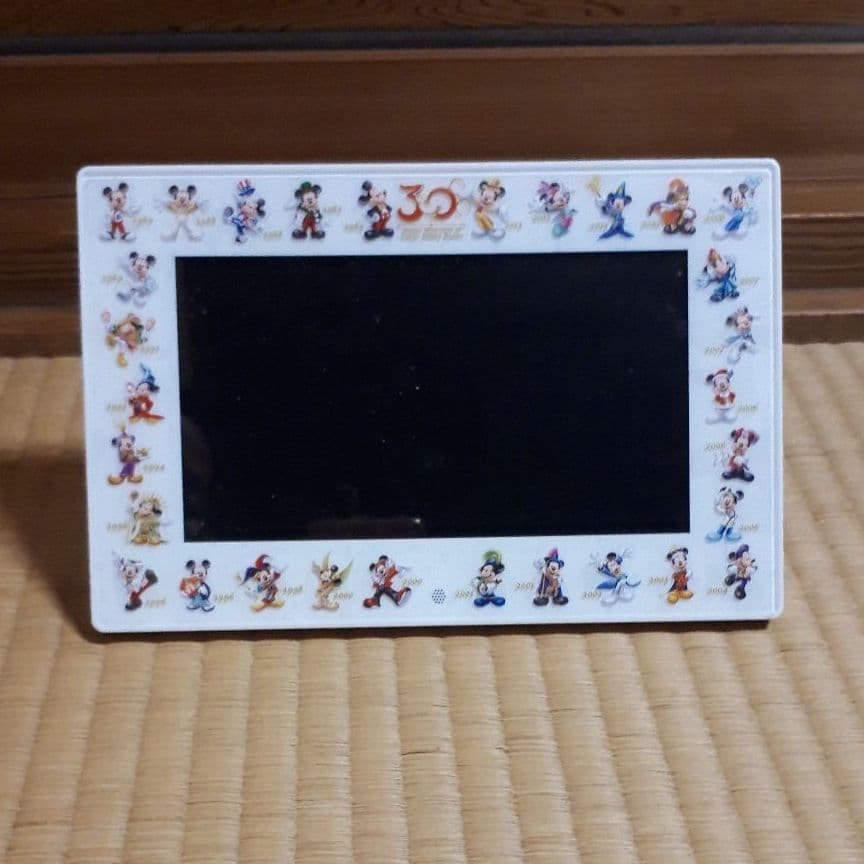 最終値下げ‼️新品未使用 TDL 30周年 デジタルフォト ディズニーランド