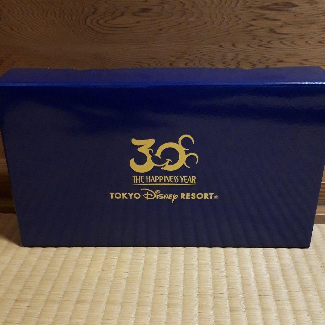 最終値下げ‼️新品未使用 TDL 30周年 デジタルフォト ディズニーランド