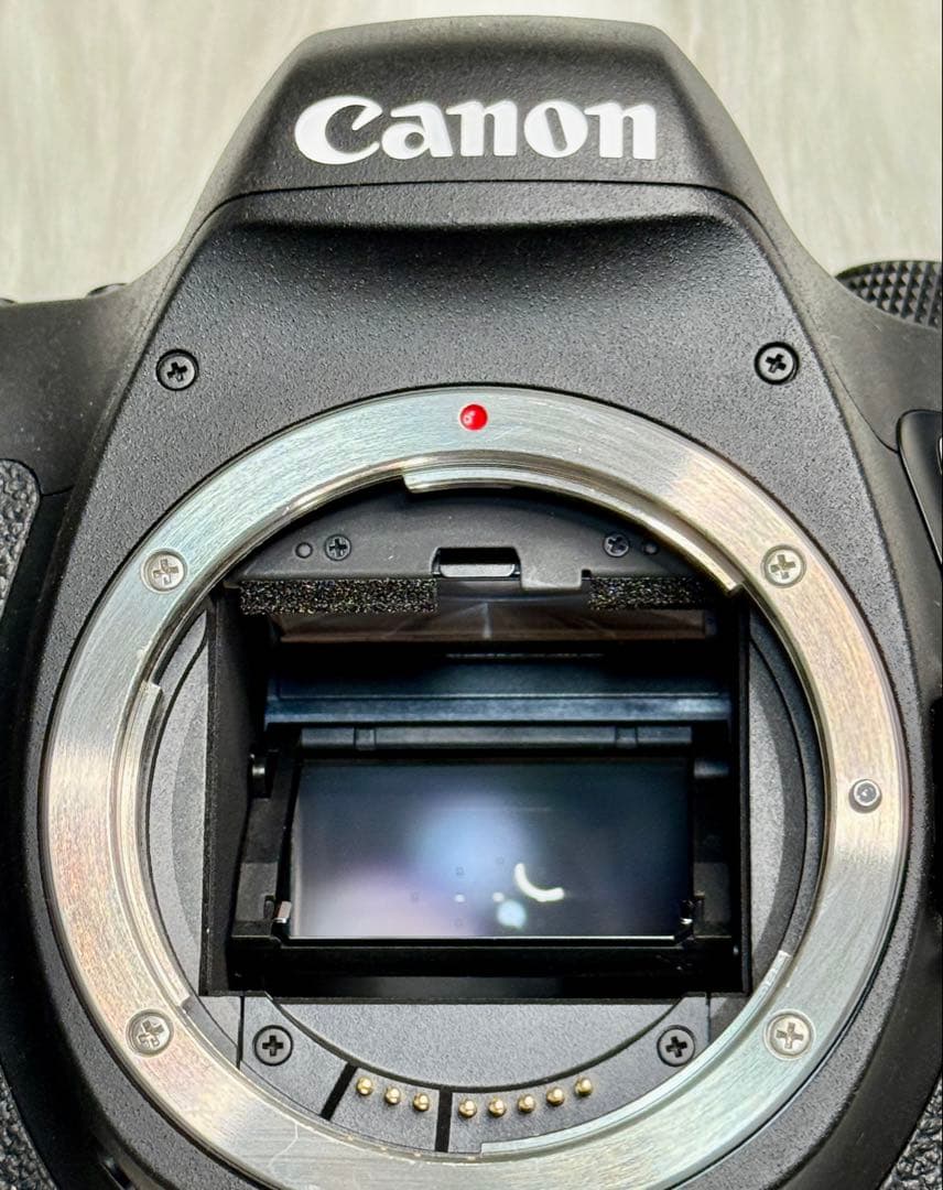 キヤノン EOS 6D EF24-70 F4L IS USM レンズキット