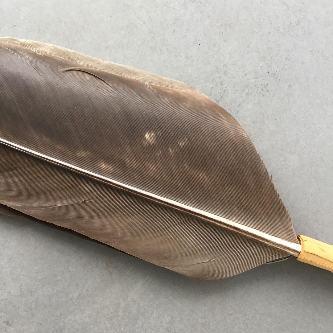 茶道具　羽箒　三ツ羽根(犬鷲一双)炉用•風炉用　紙箱　S28HB