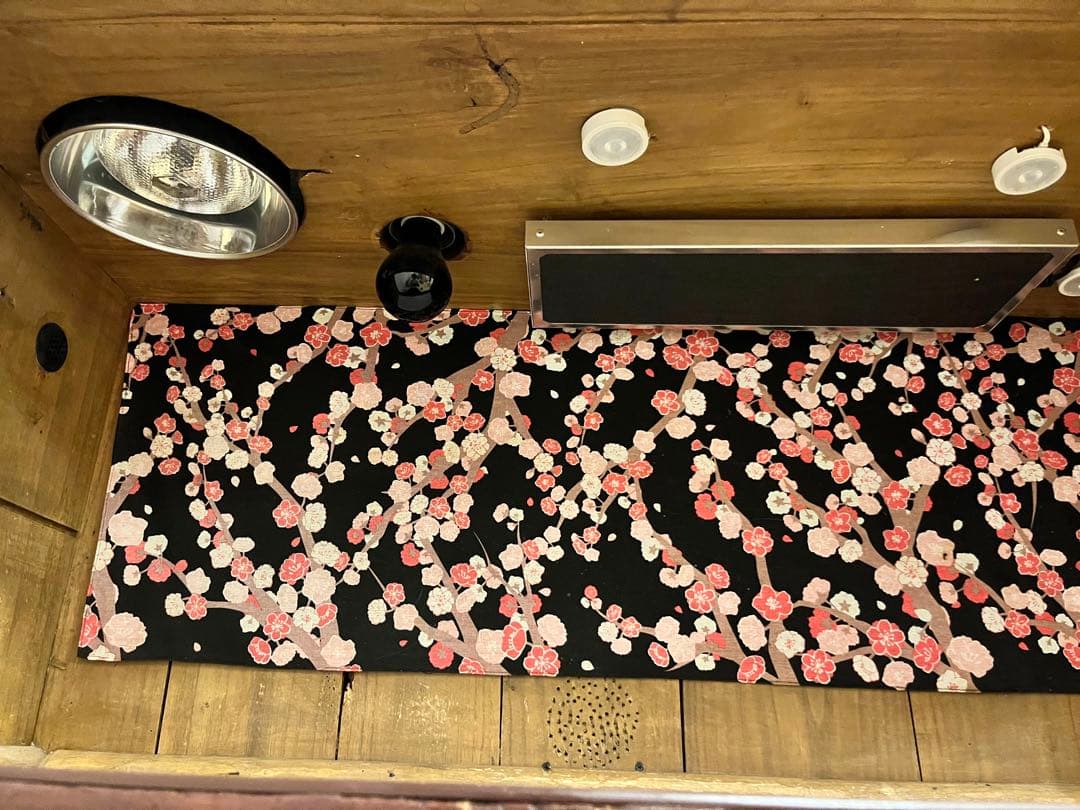 フトアゴ飼育ケージセット