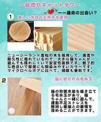 いろんな色があります！