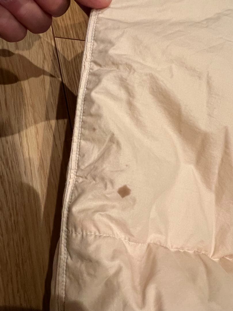 ハンガリーグースダウン95% ハンドピックドイツ製 シングル 1.1k シングル