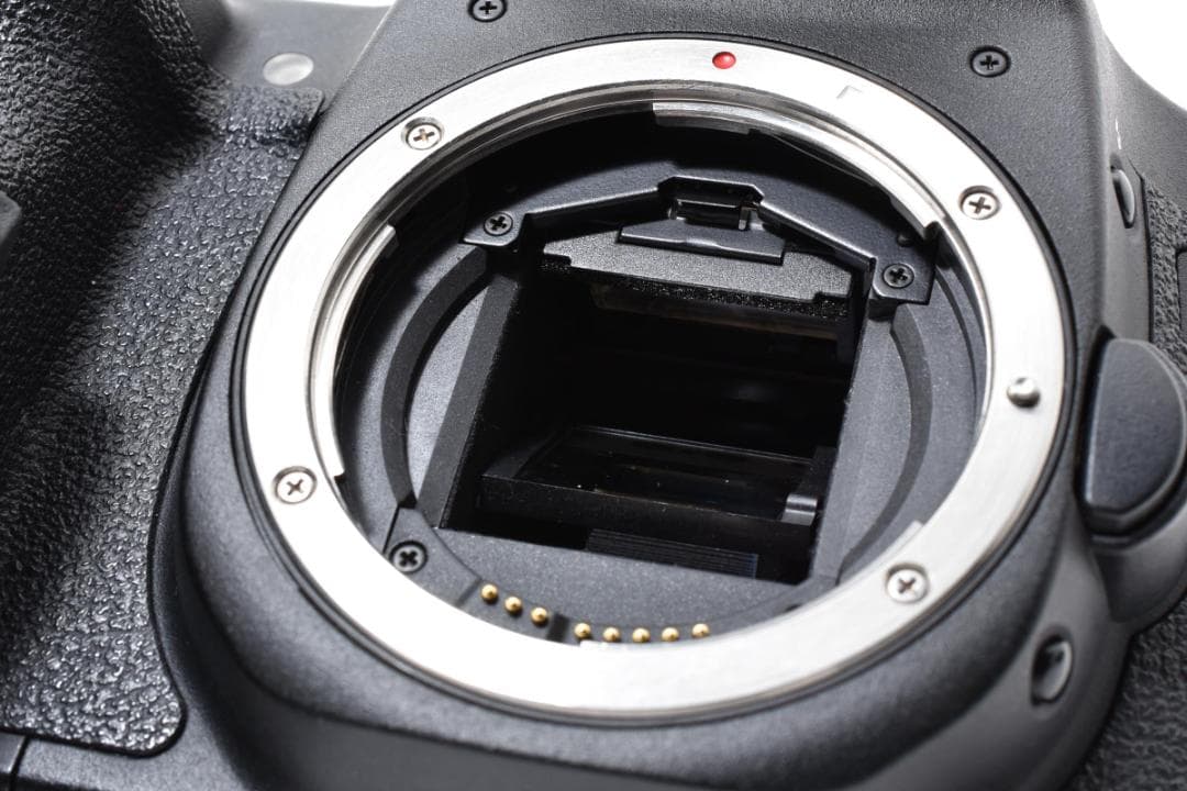 ★美品★Canon キャノン EOS 50D ボディ #21099