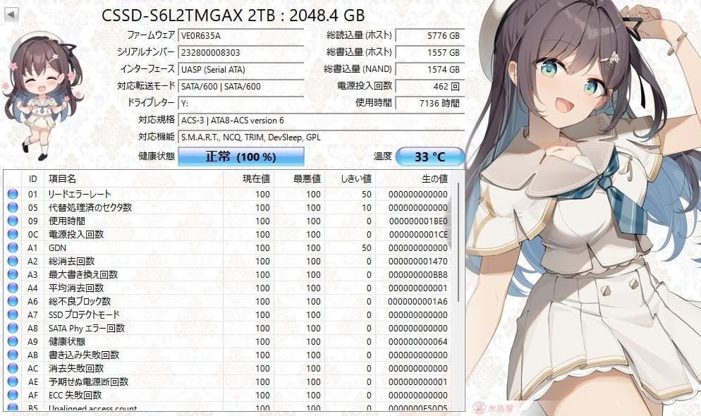 CFD 2TB 内蔵型SSD CSSD-S6L2TMGAX