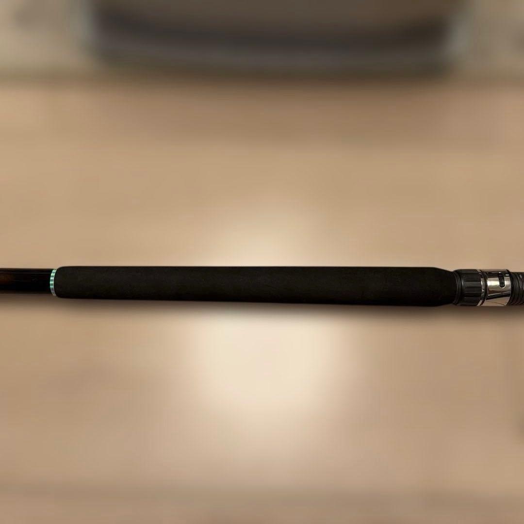 ダイワ HZ 剣崎アキアジスペシャル 310V 船竿 鉛負荷200～300号