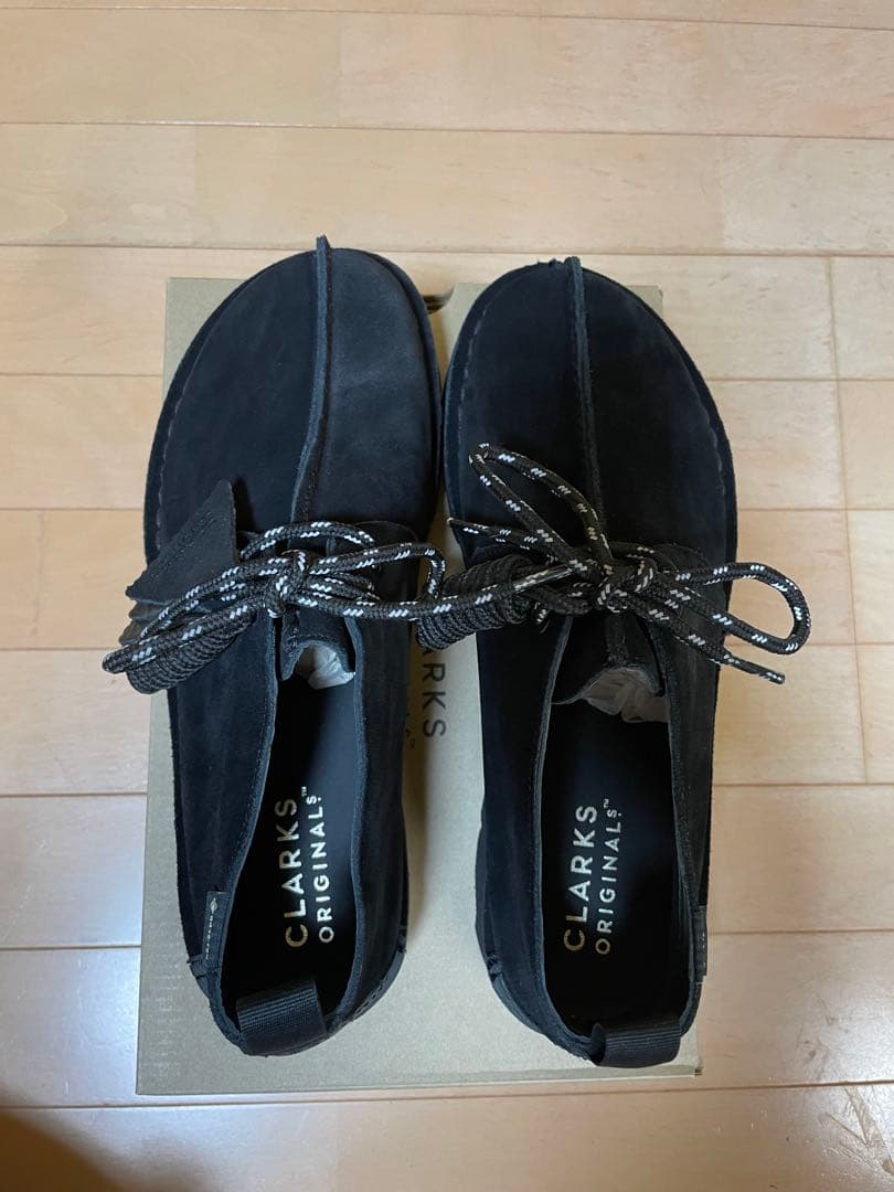 靴 CLARKS Desert Trek GTX