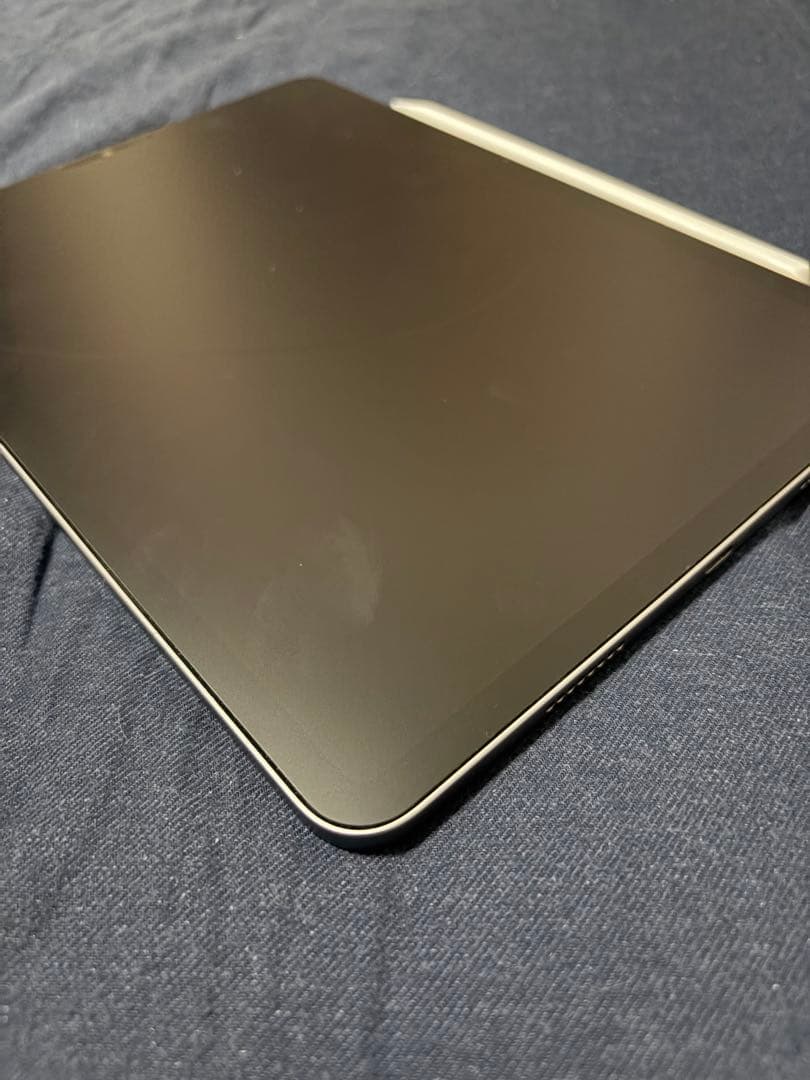 iPad Pro 11インチ 4世代 256GB Apple Pencil付き