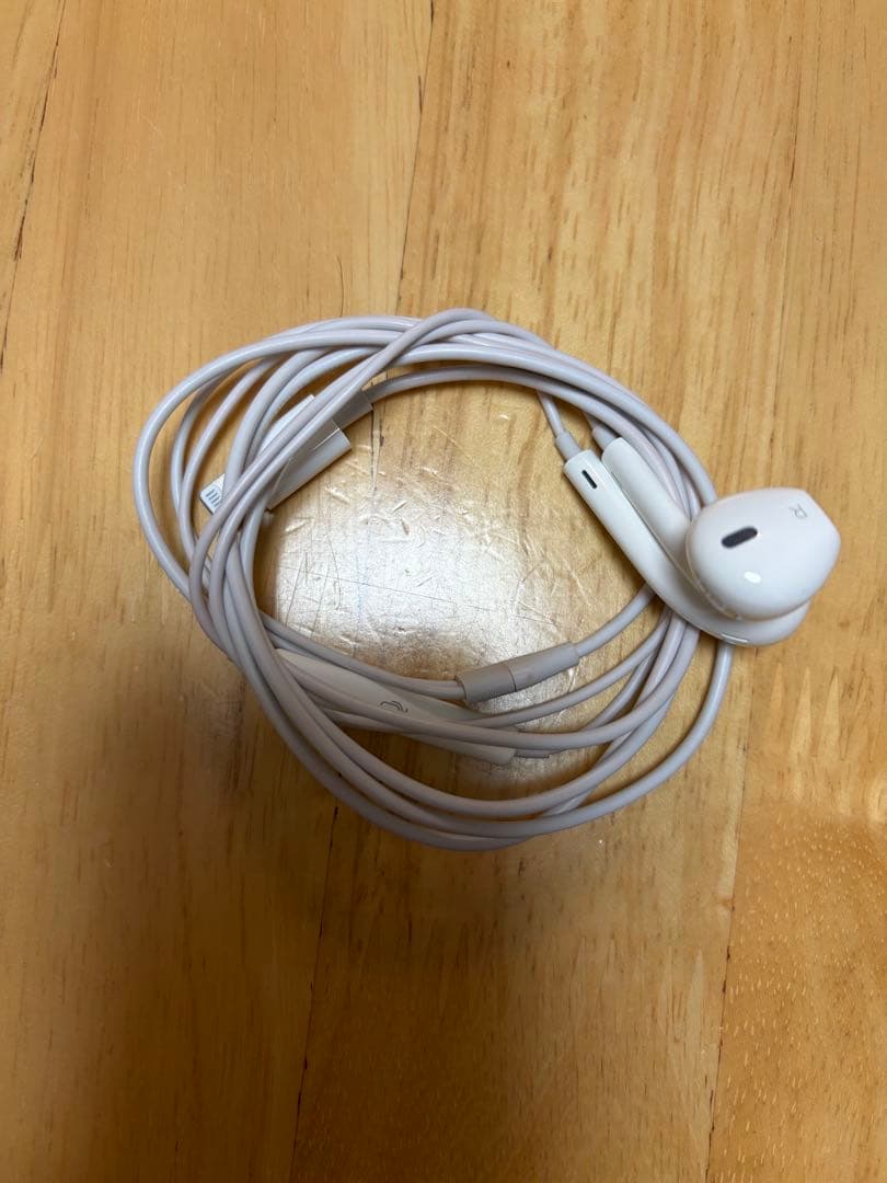 Apple iPhone X シルバー 本体 + EarPods