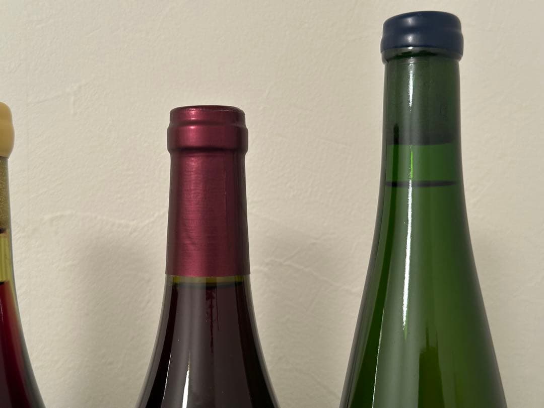 日本ワイン10本セット