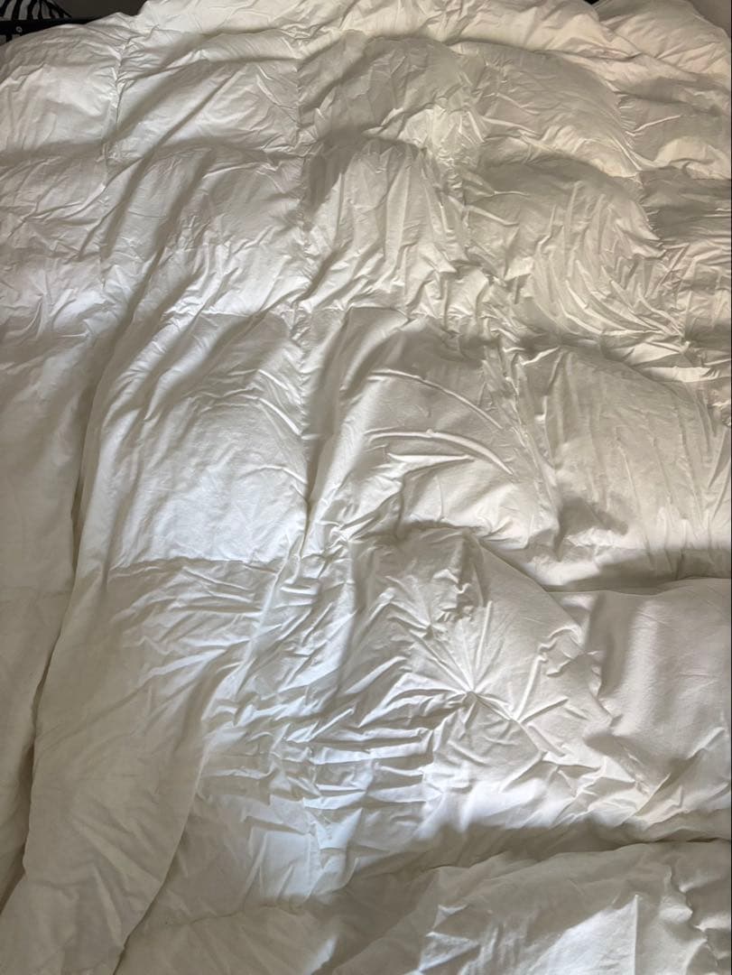 昭和西川 羽毛掛け布団 CUORE シングル