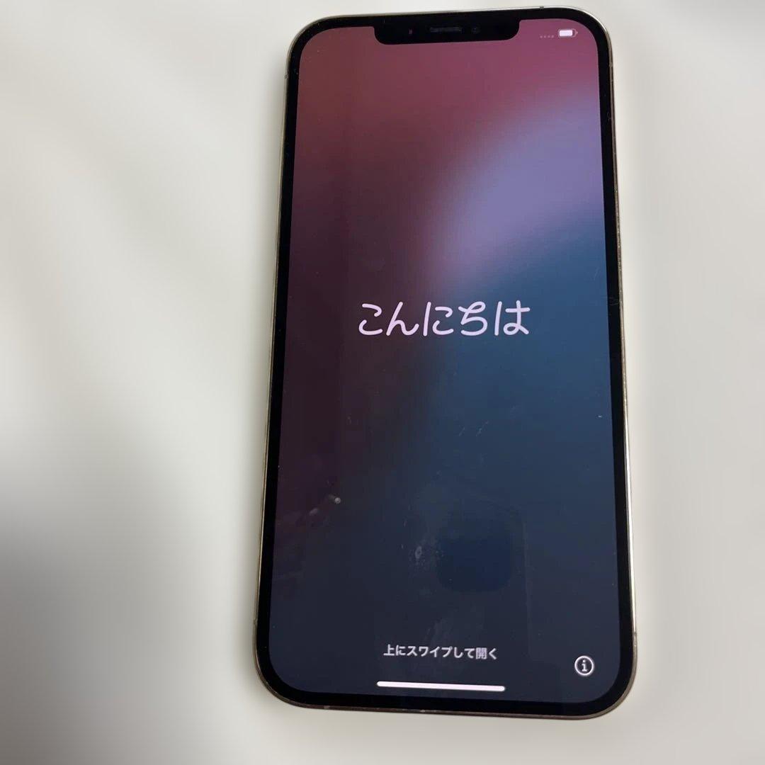 Apple iPhone 12 本体