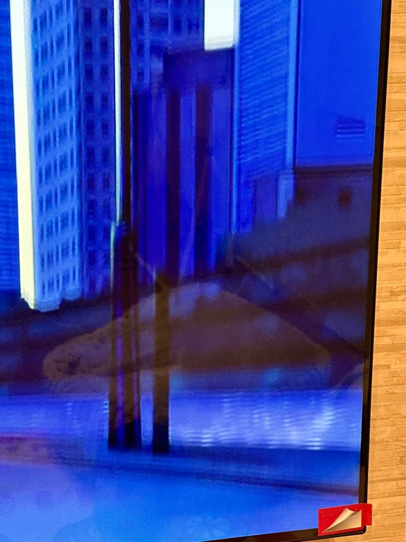 【値引き　初期化済】LG OLED55B9PJA 55V型 4K有機ELテレビ