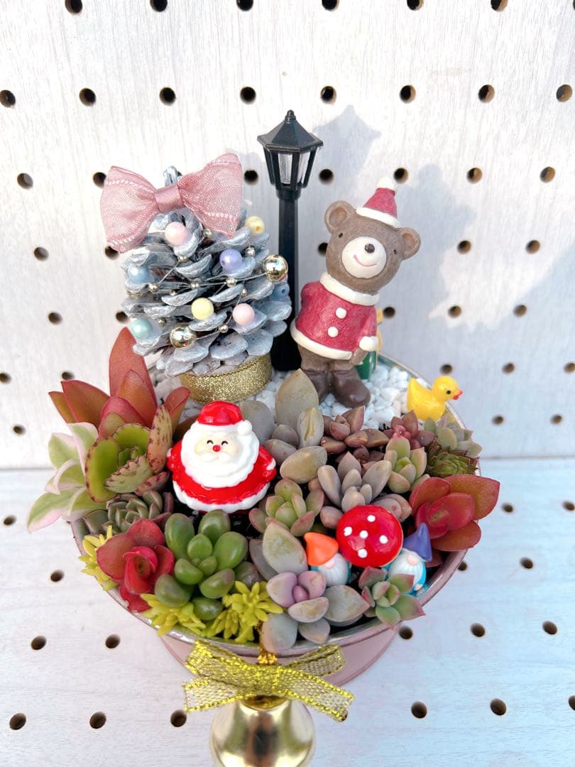 メルカリ便♫多肉植物寄せ植え♫そのまま飾れる♫くまさんサンタのプレゼント