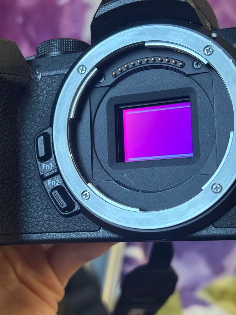 Nikon Z50 ミラーレス一眼カメラ 本体と付属品