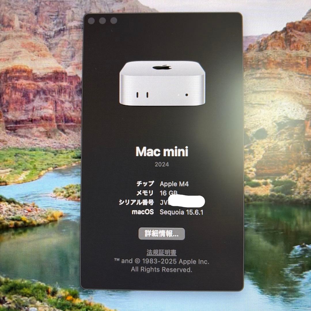 Apple Mac mini M4 10コア10コア 16GB 256GB