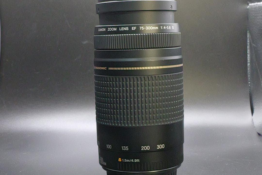 ★極美品望遠レンズ★ Canon EF 75-300mm 発表会 運動会用