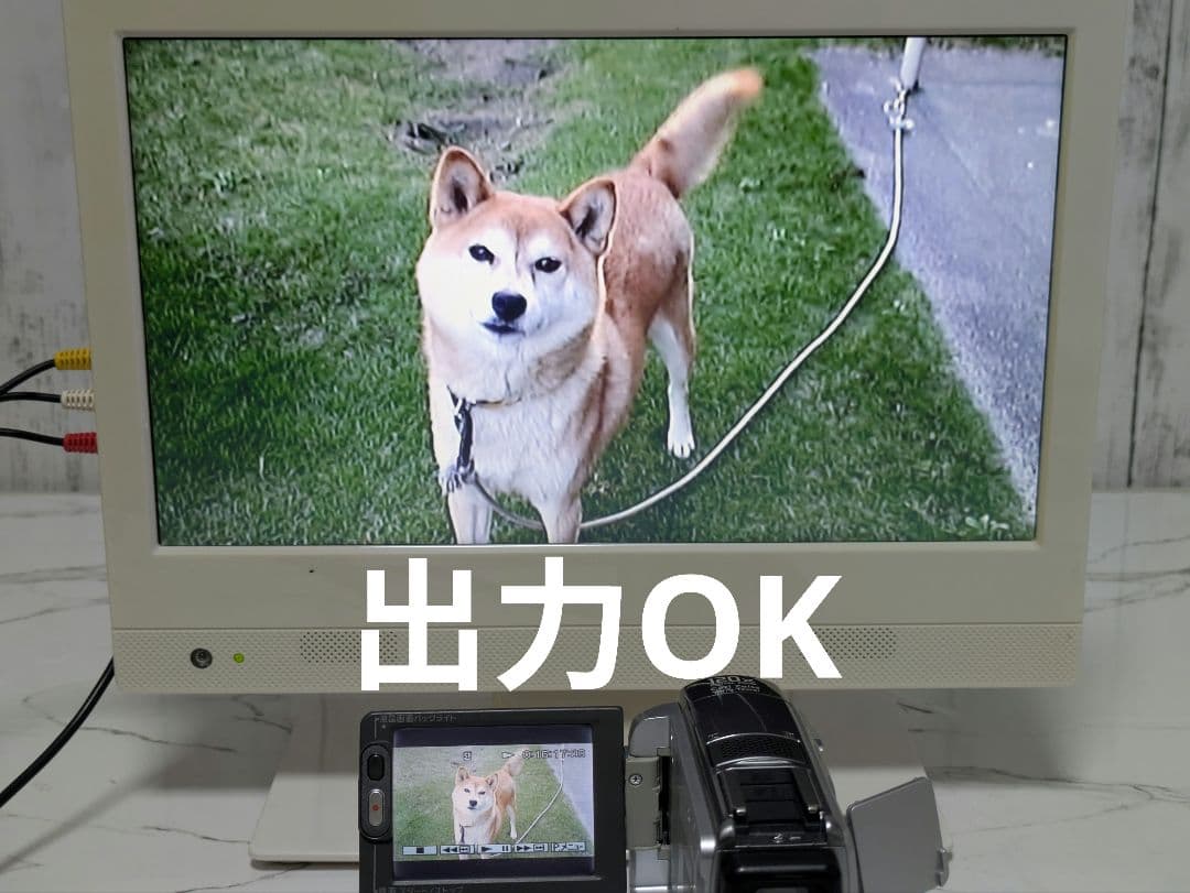 【希少】SONY　DCR-PC109　MiniDV対応