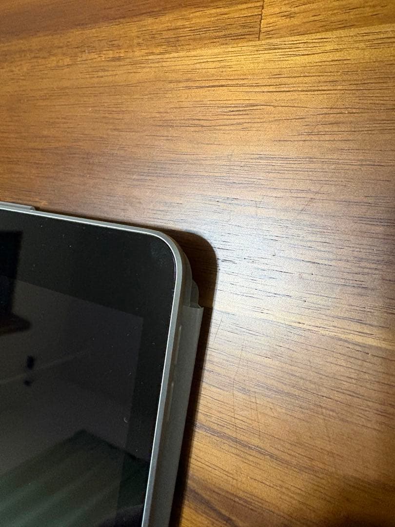 Apple iPad シルバー 本体　第9世代　256G