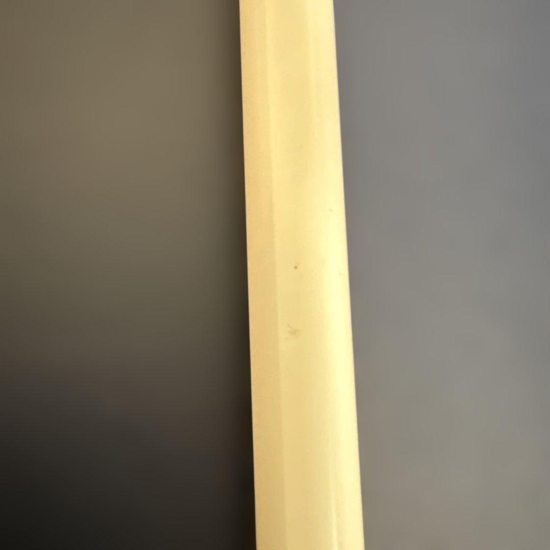 Apple Pencil アップル ペンシルUSB-C USED 中古