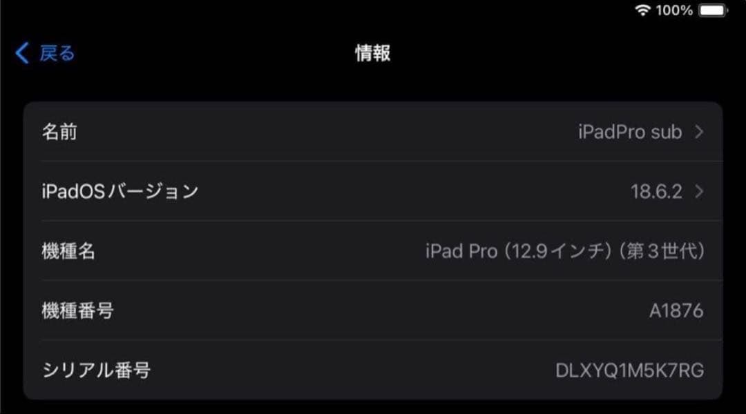 iPad本体 iPad Pro 12.9 Wi-Fi256GB