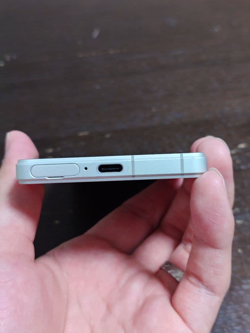 SONY Xperia 5 Ⅴ　256GB XQ-DE44