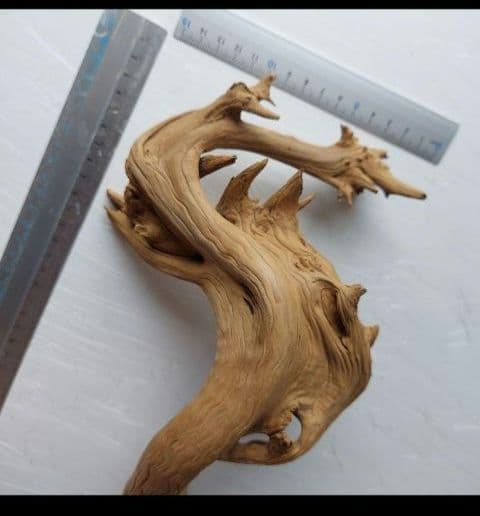 変木(龍神木)天然木根、希少、珍品、一点物❗