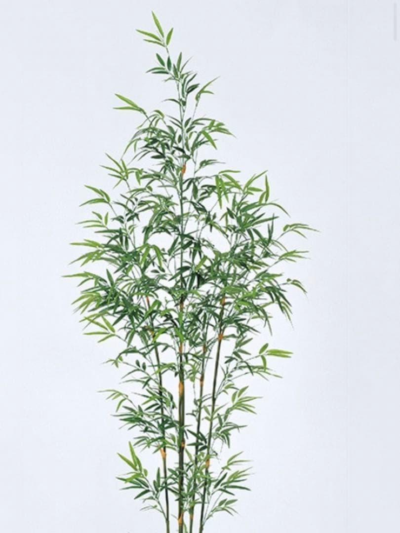 光触媒　人工観葉植物　ウォールグリーン　フェイクグリーン　バンブーツリー210