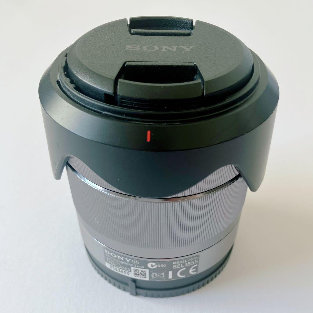 【ゆう】α6100 レンズセット【ボディのみ可】| 使用少 SONY