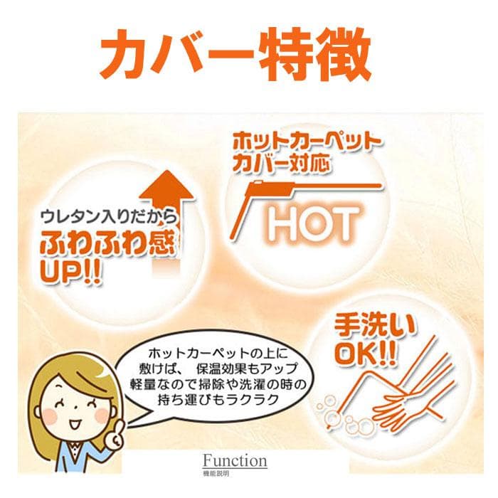 MORITA 電気カーペット 3畳用 ホットカーペットカバー付 リーチェ レッド