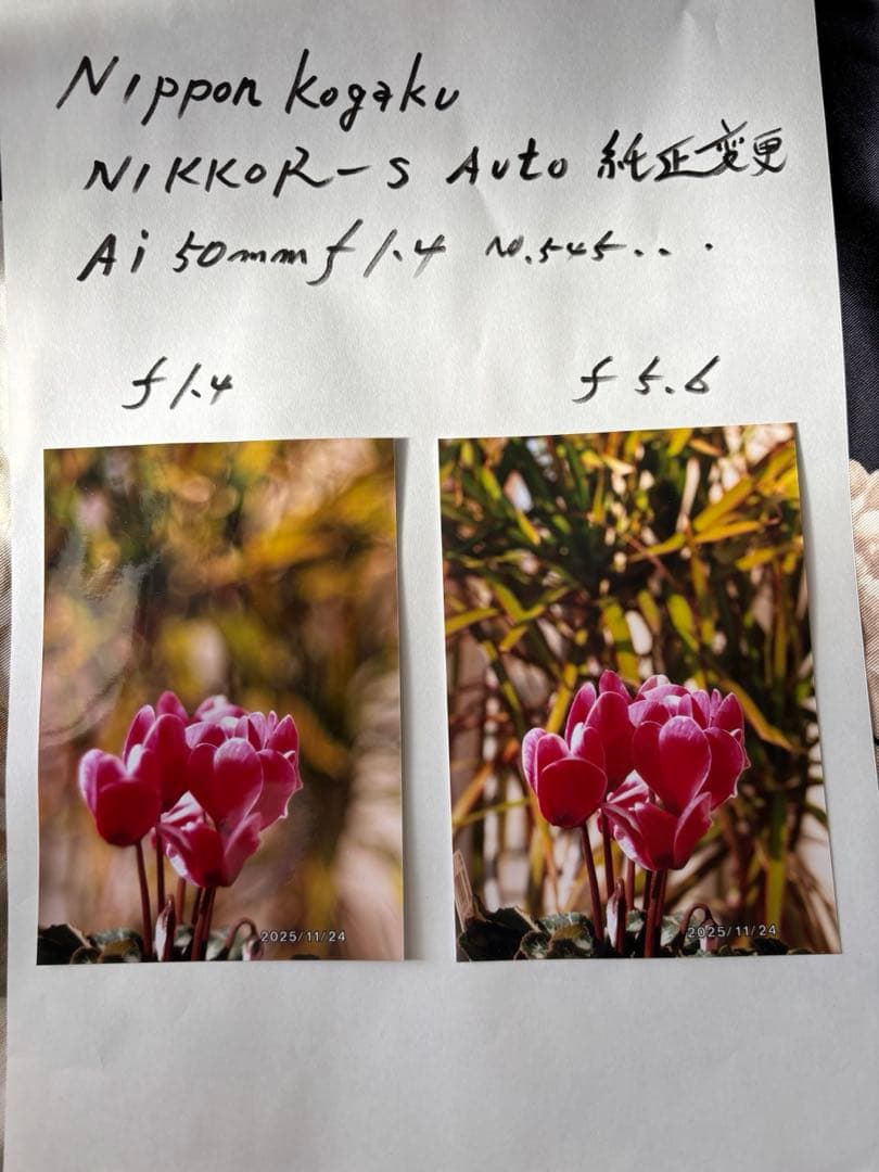 7日日曜日のみ価格希少純正AI改造日本光学 s AUTO 50mm f1.4美品