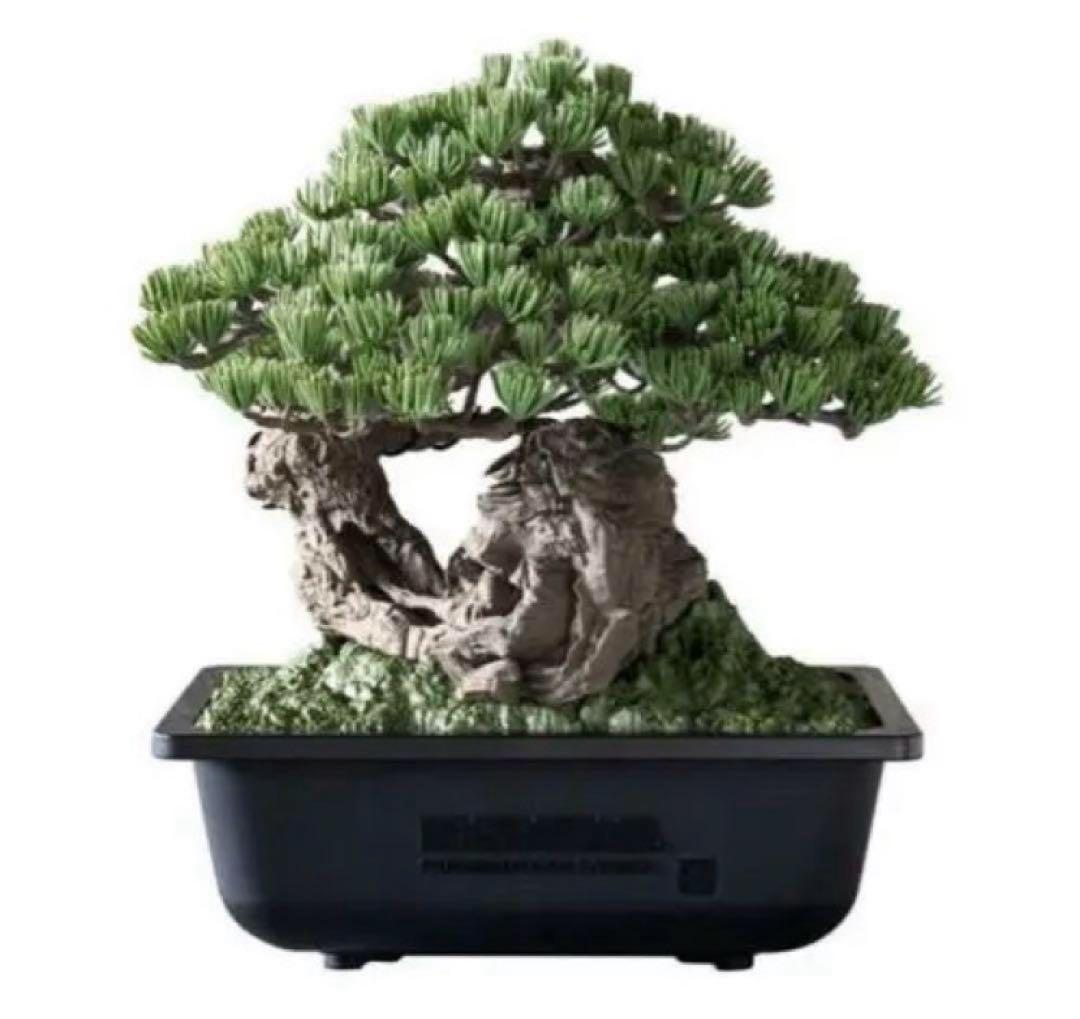 NEIGHBORHOOD SRL BANDAI BONSAI ツールセット 盆栽