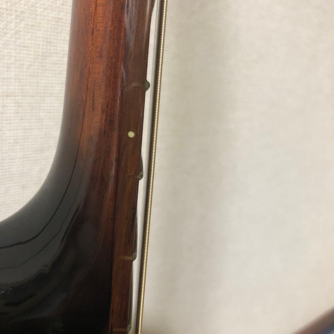 SxRG1 リゾネーターギター