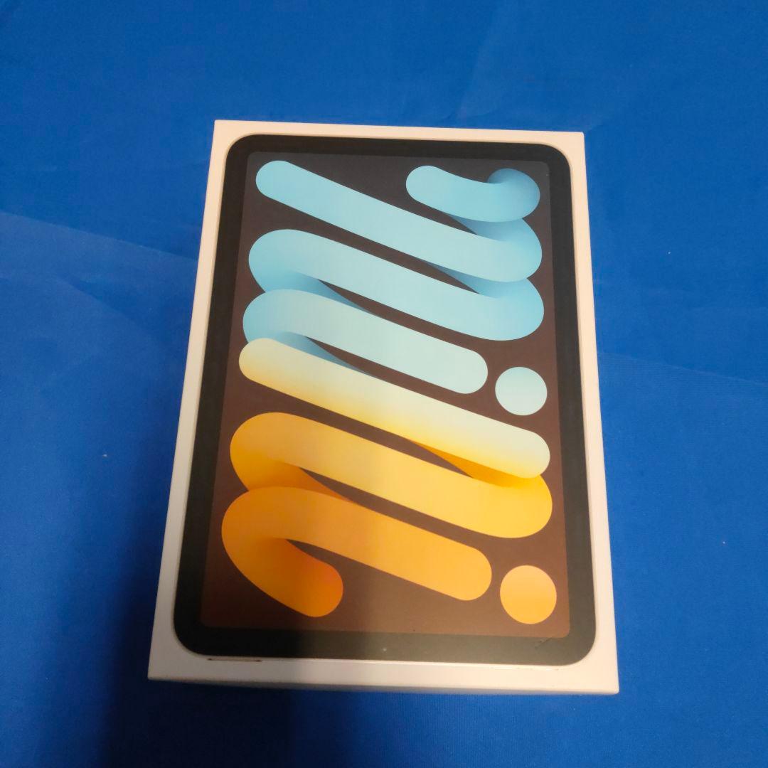 iPad mini 第6世代 64g wifi 本体 apple