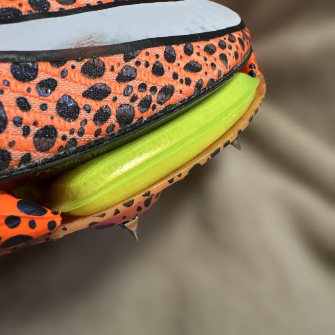 NIKEマックスフライ2パリカラー(27.0)