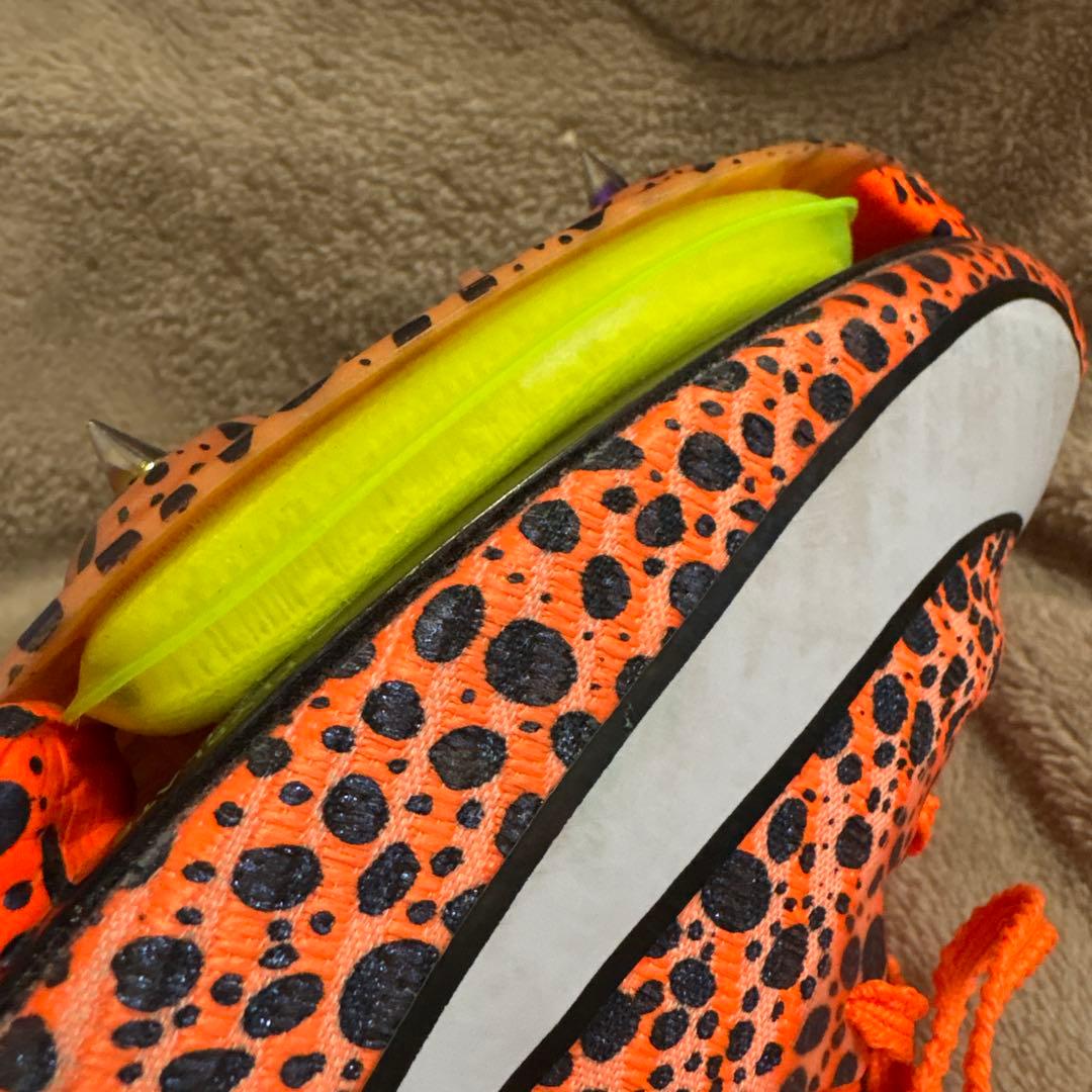 NIKEマックスフライ2パリカラー(27.0)