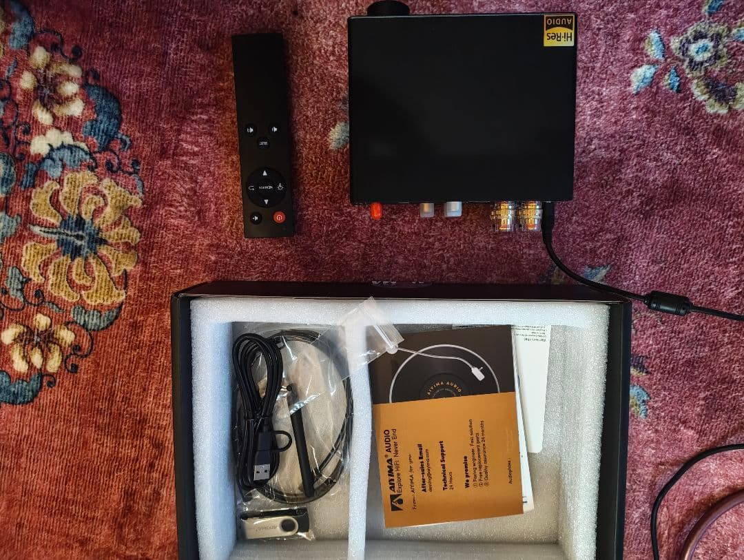 T183 AIYIMA A80 TPA3255 訳あり品