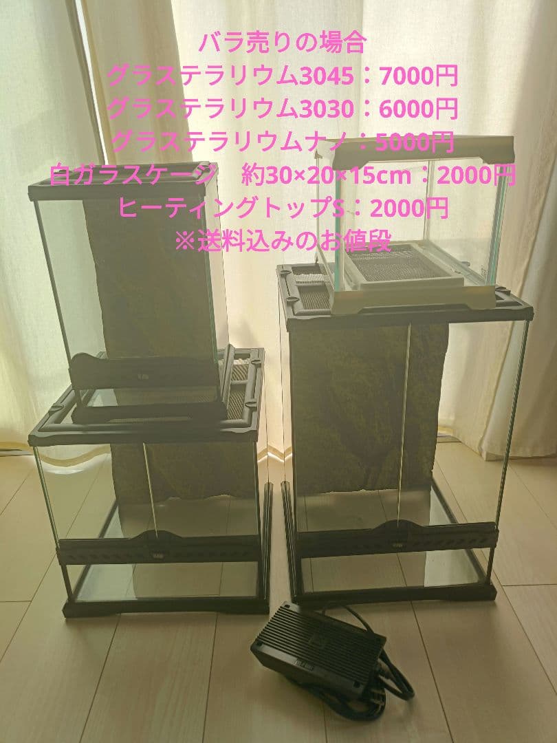 エネル様　ガラスケージ