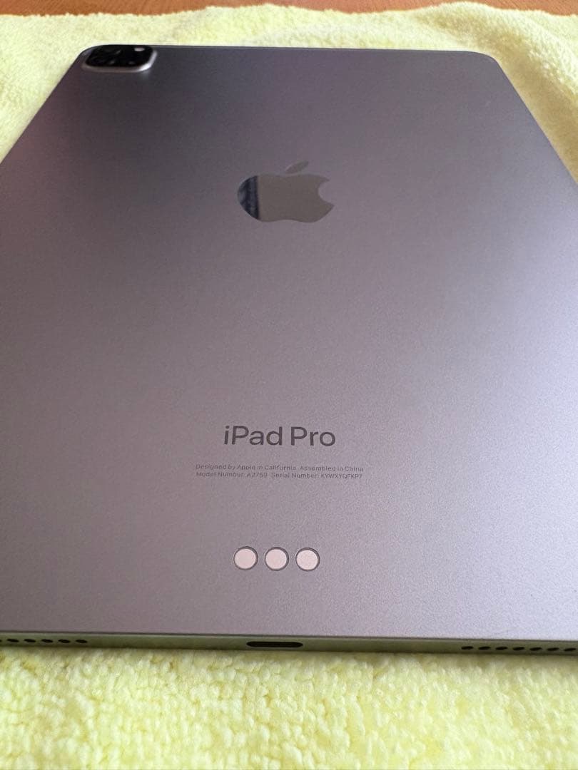 iPad Pro 本体　第4世代